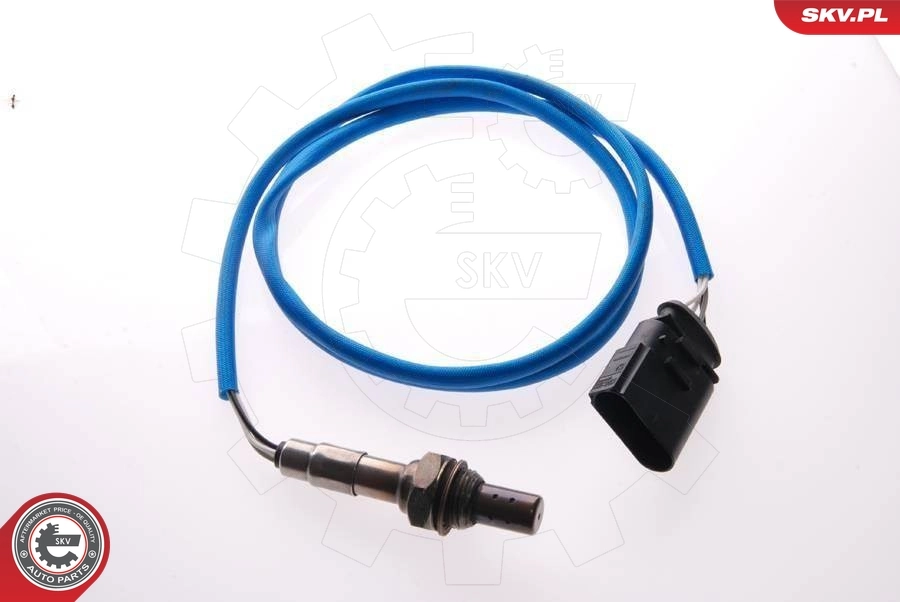 Oxygen Sensor